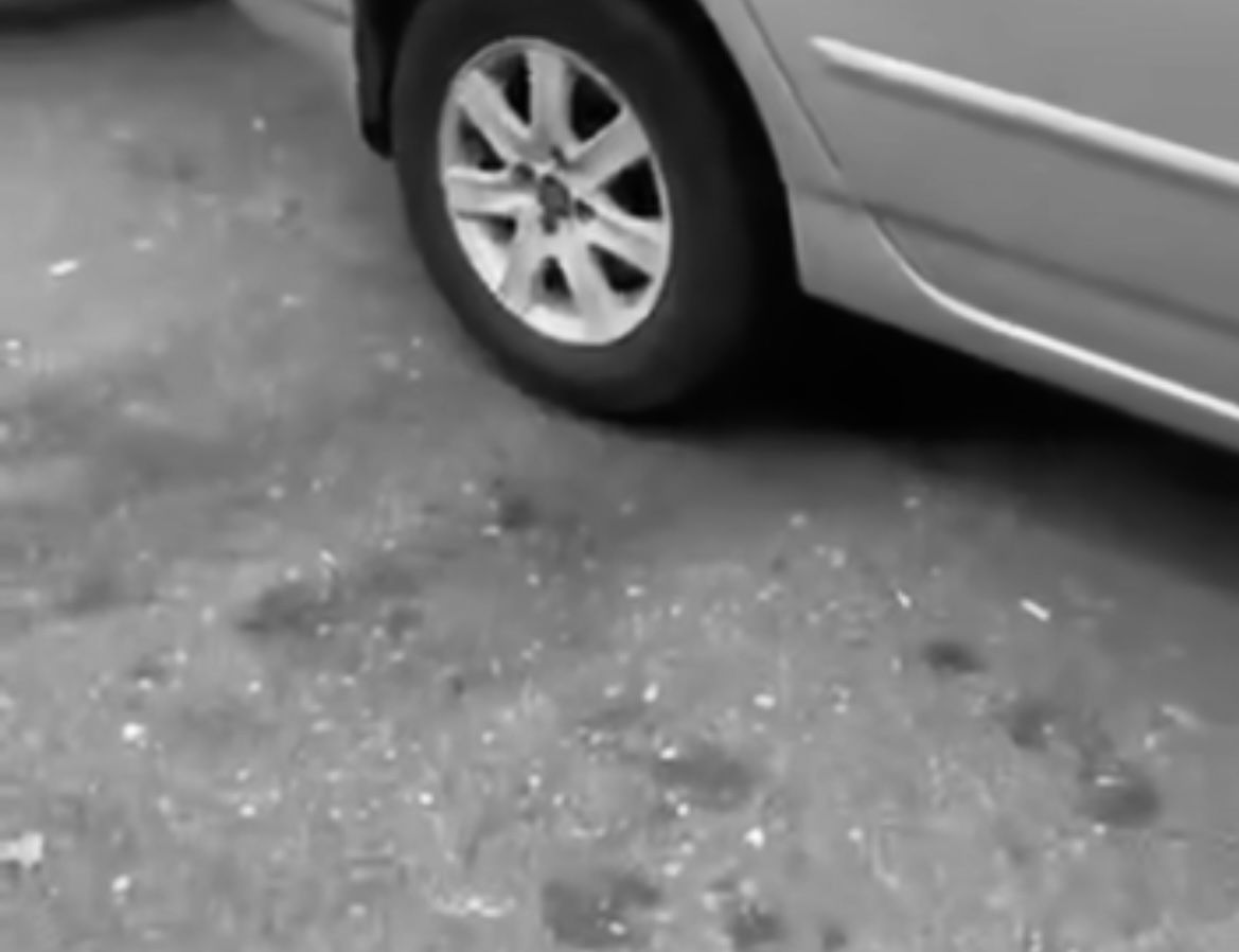 19513de1-fd0c-43ce-b996-133a97812b39.jpeg