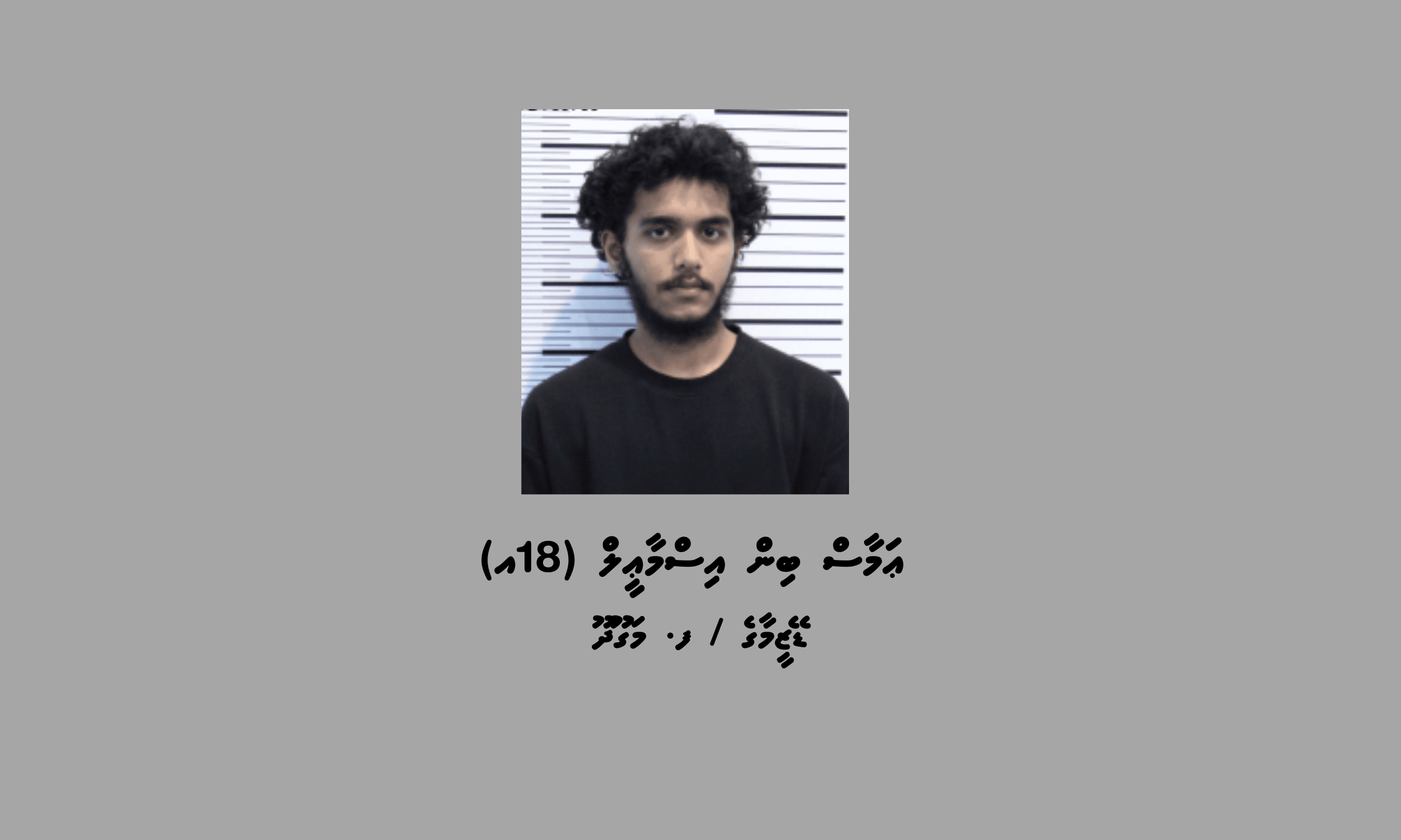 1_Suspect_1_54b9de1999 (1).png
