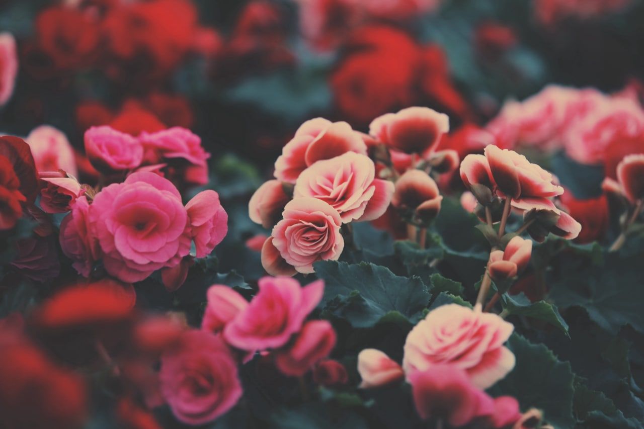 36DF130A-5C48-4414-A173-33B8135110CB.jpeg