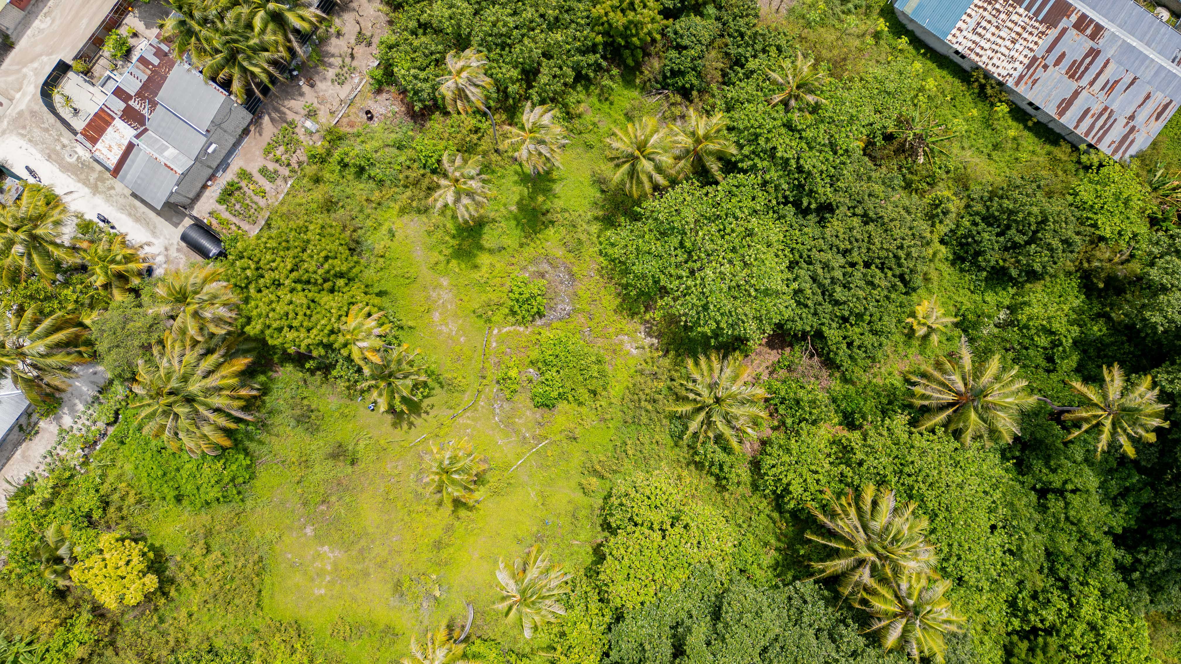 DJI_0346.jpg
