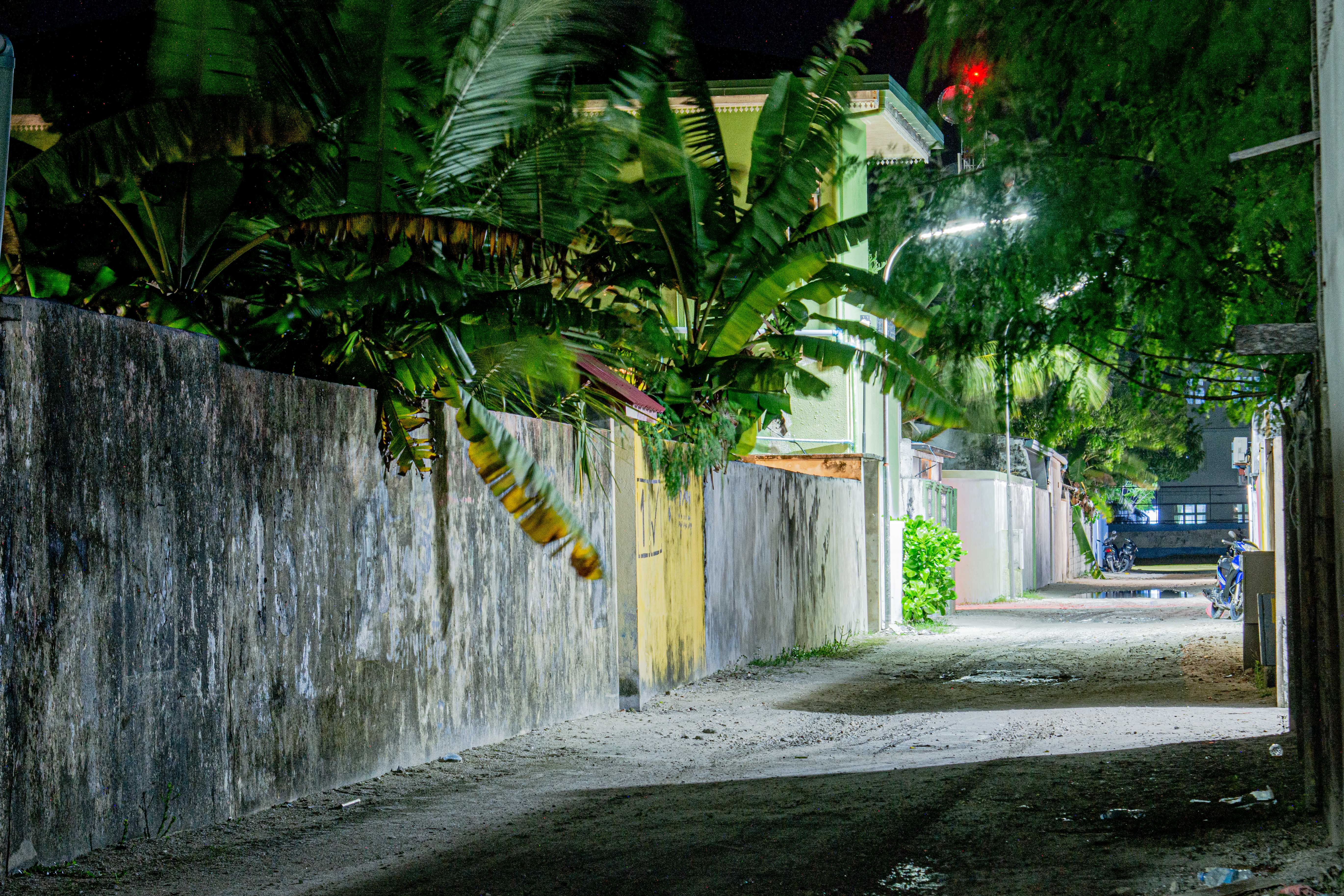 DSC_1565.jpg