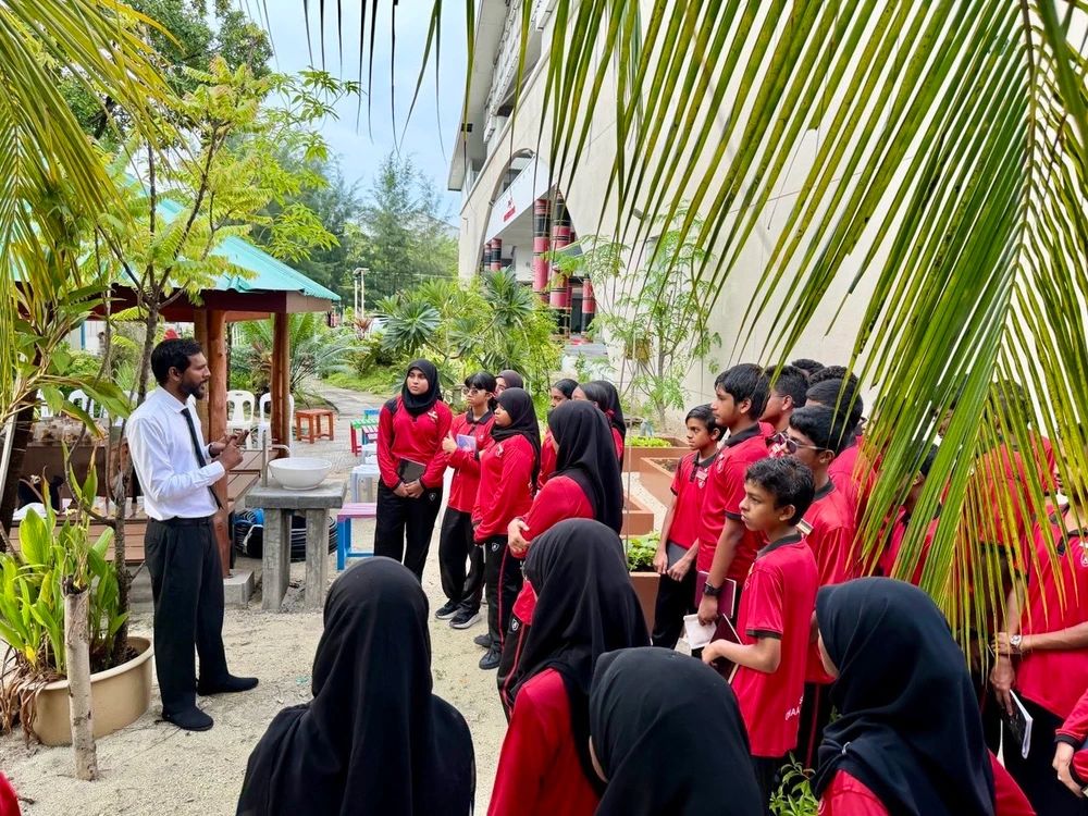 Gazi school.webp