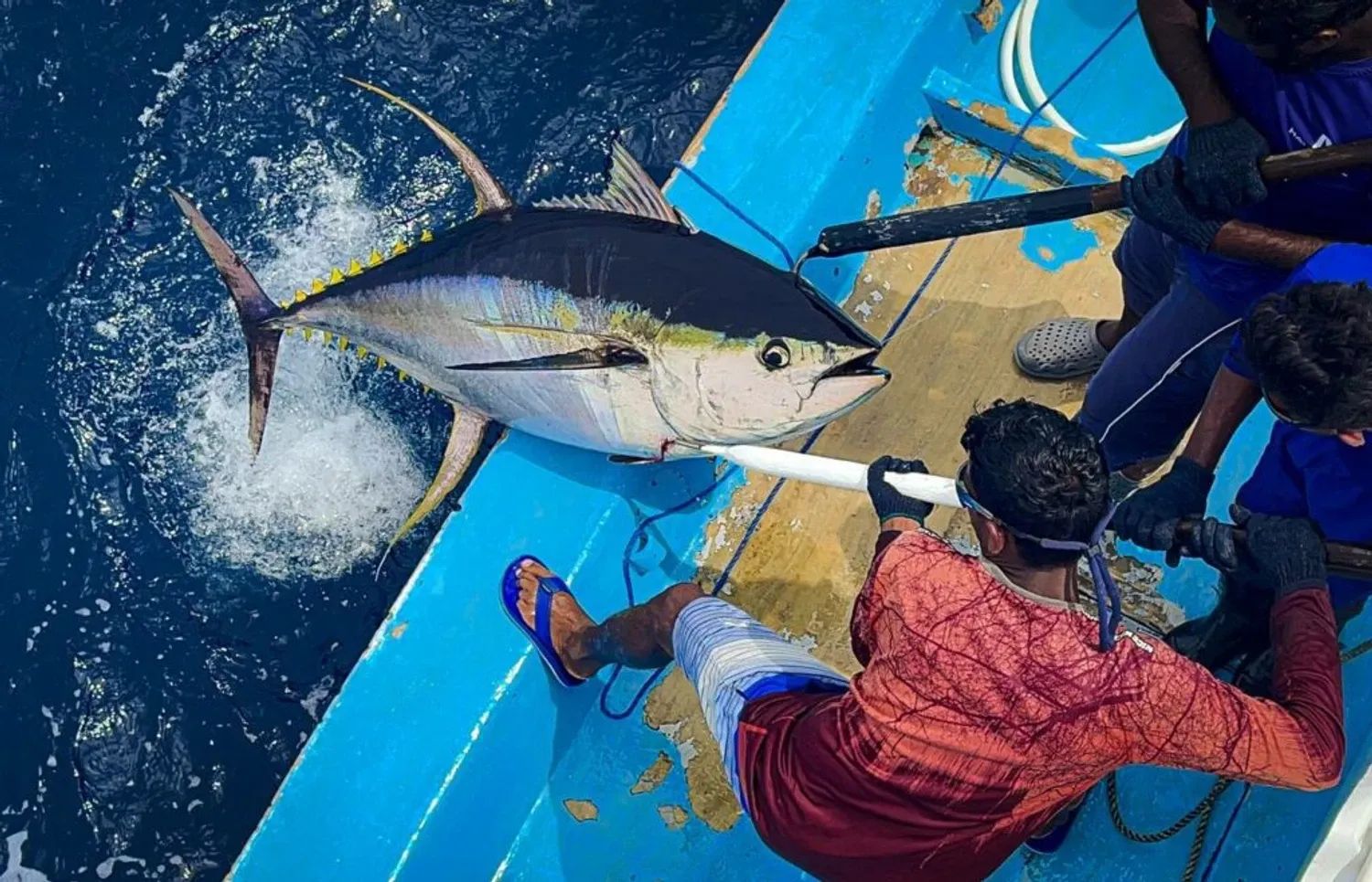 Handline-Fishing-13-1024x659-1769321047142.webp