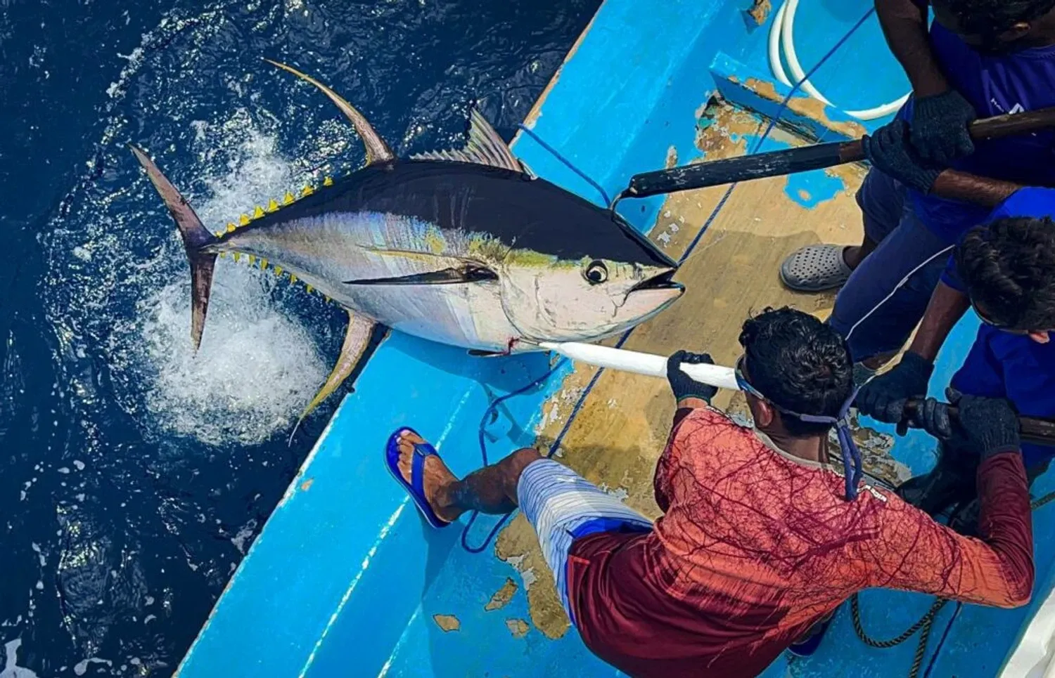Handline-Fishing-13-1024x659-1769321047142.webp