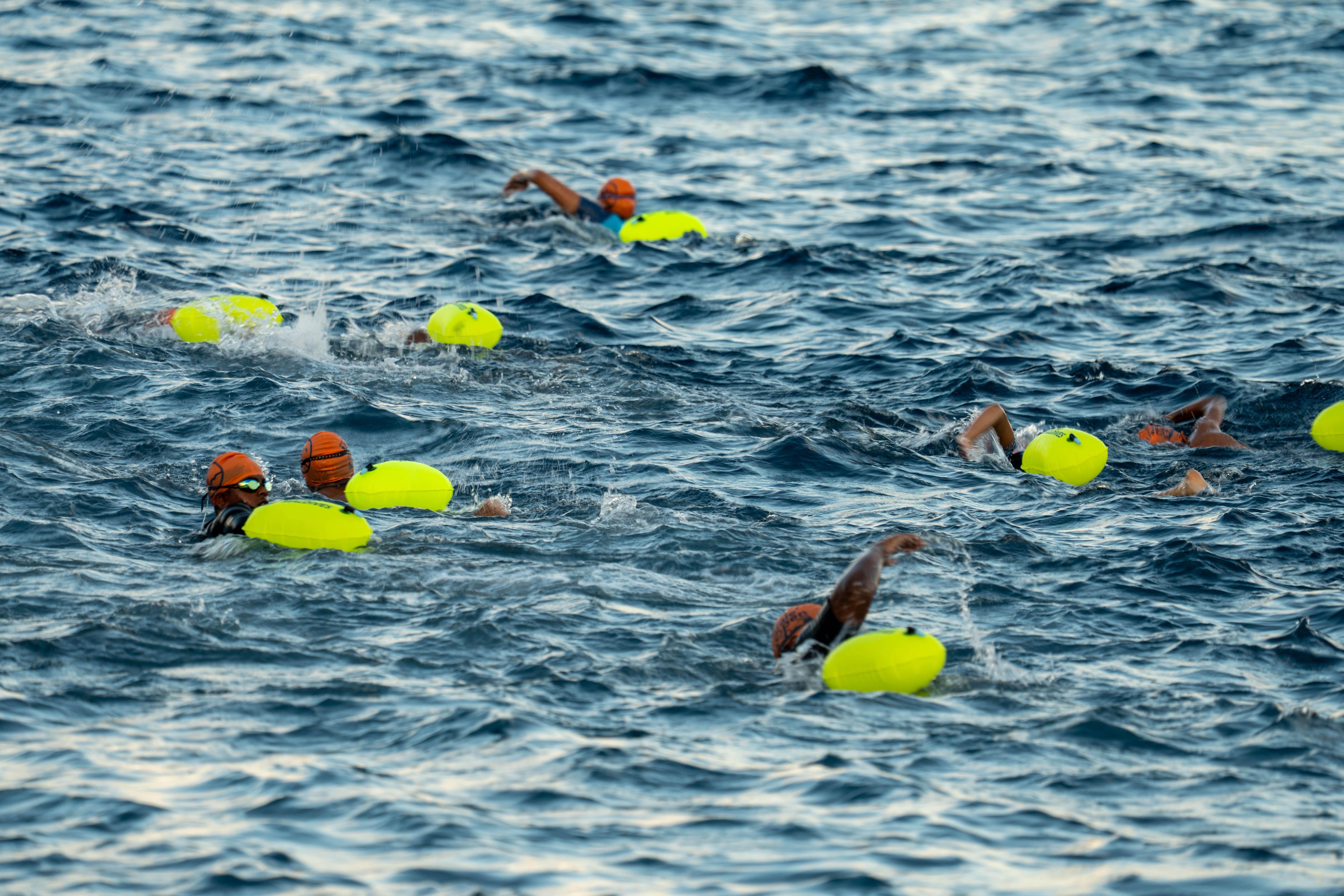 Swim.JPG
