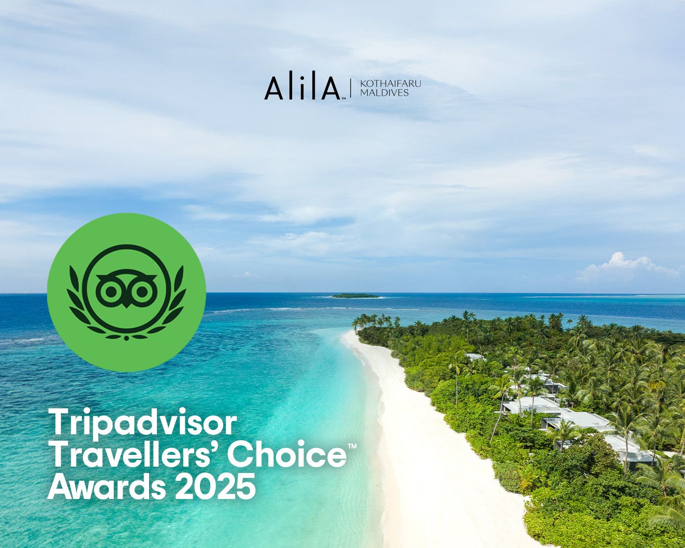 MLDAL_TripAdvisor-Feed.jpg