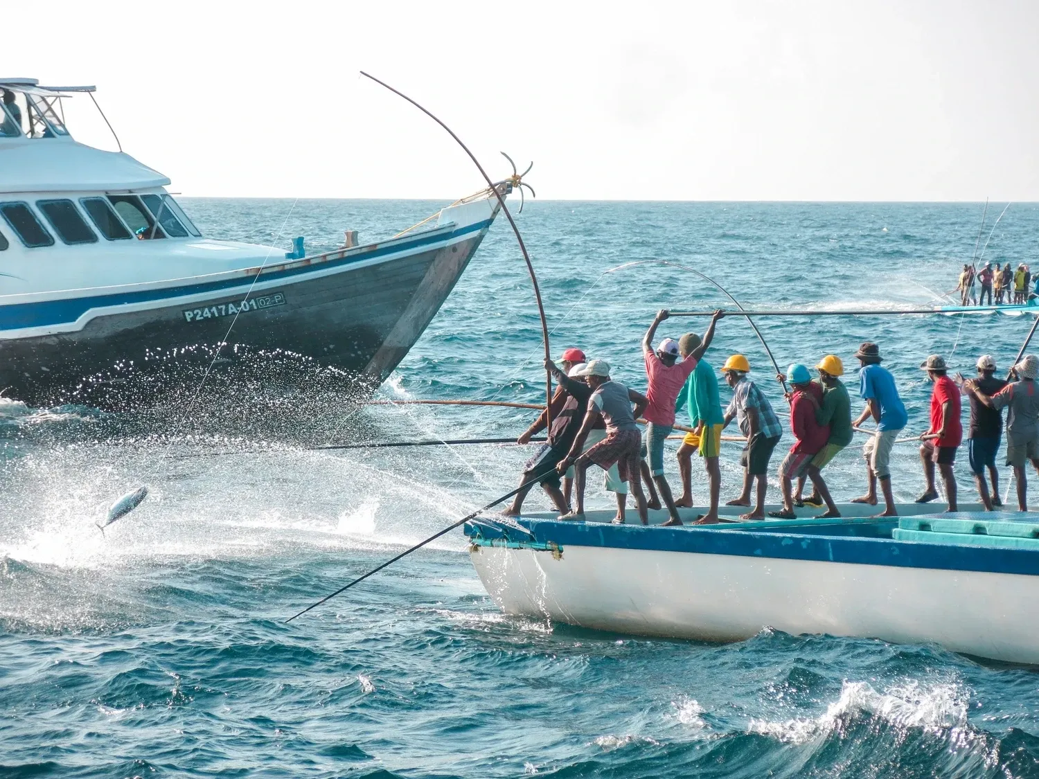 Maldives-fisheries-c-IPNLF-scaled-1755419490370-1779801151655.webp