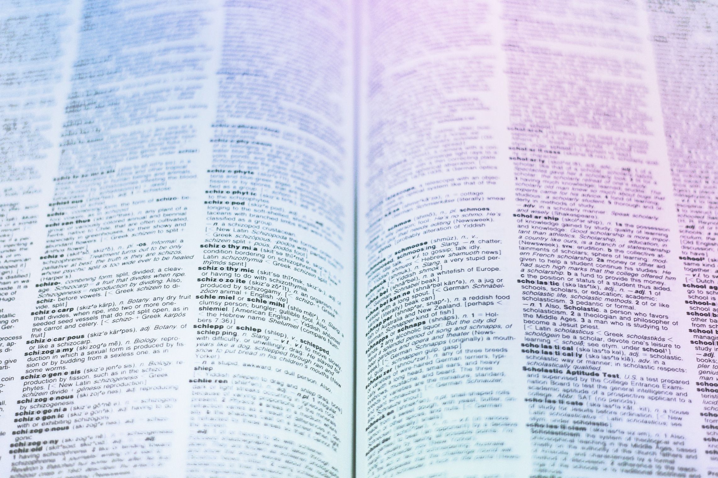 dictionary.jpg