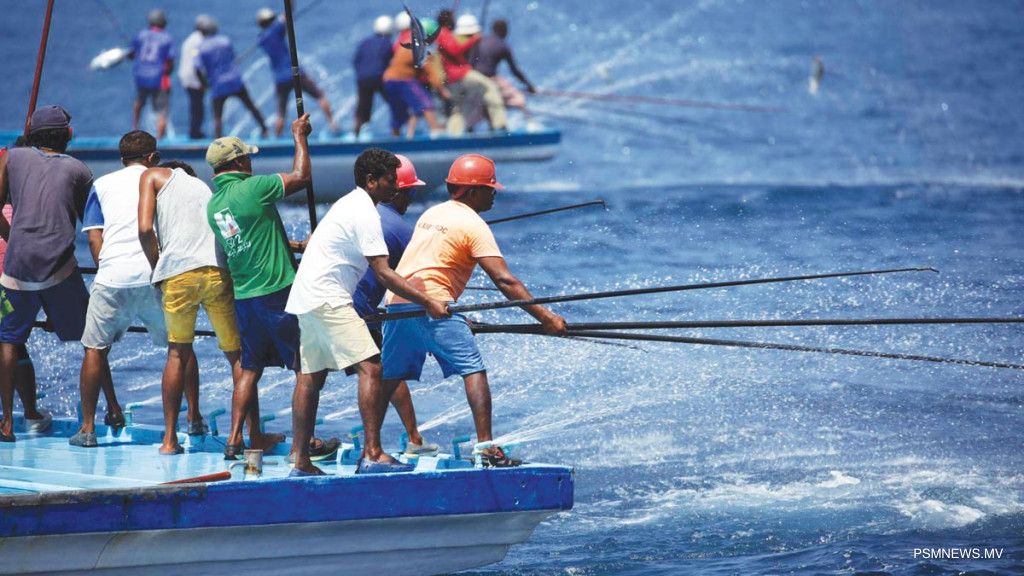 fishing-1.jpg