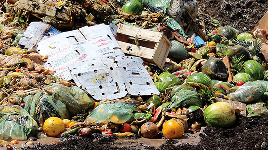 food-waste_r-1.jpg