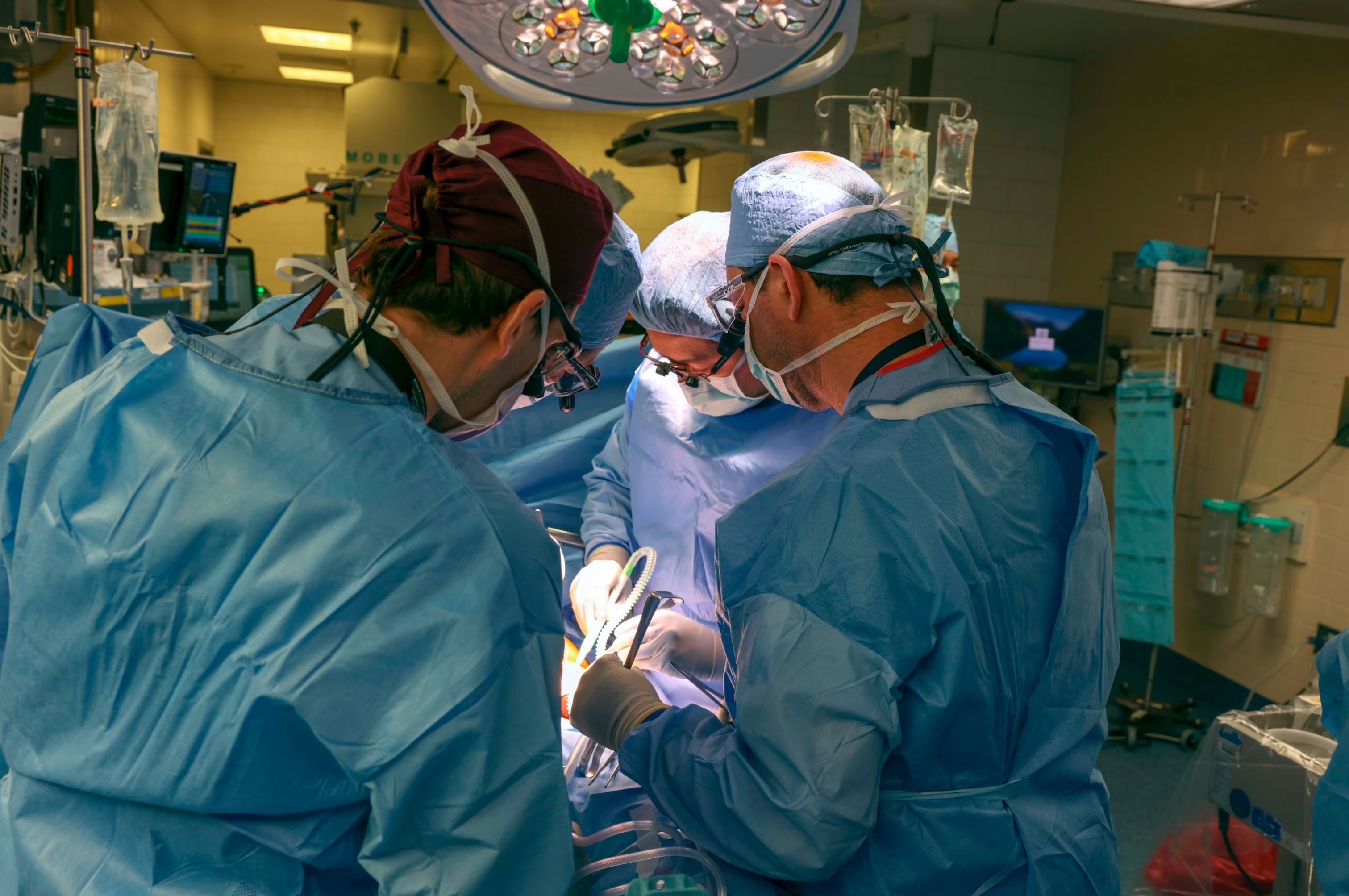 kidney-transplant-ht-jef-240321 copy.jpg