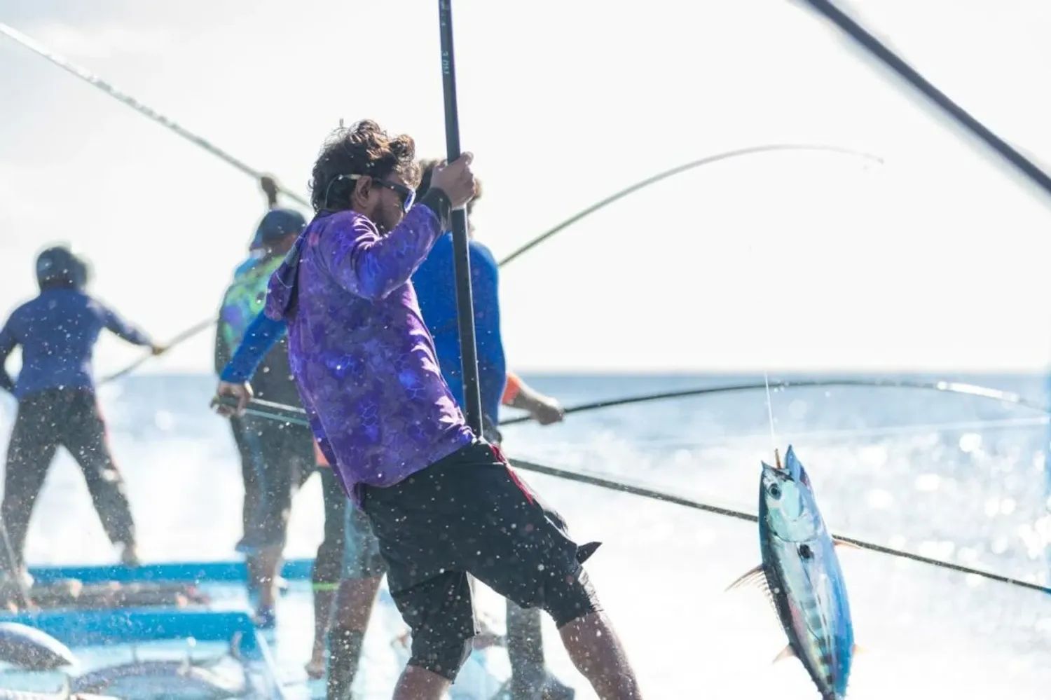 pole-and-line-fishing-3-1024x682-1761559551032.webp