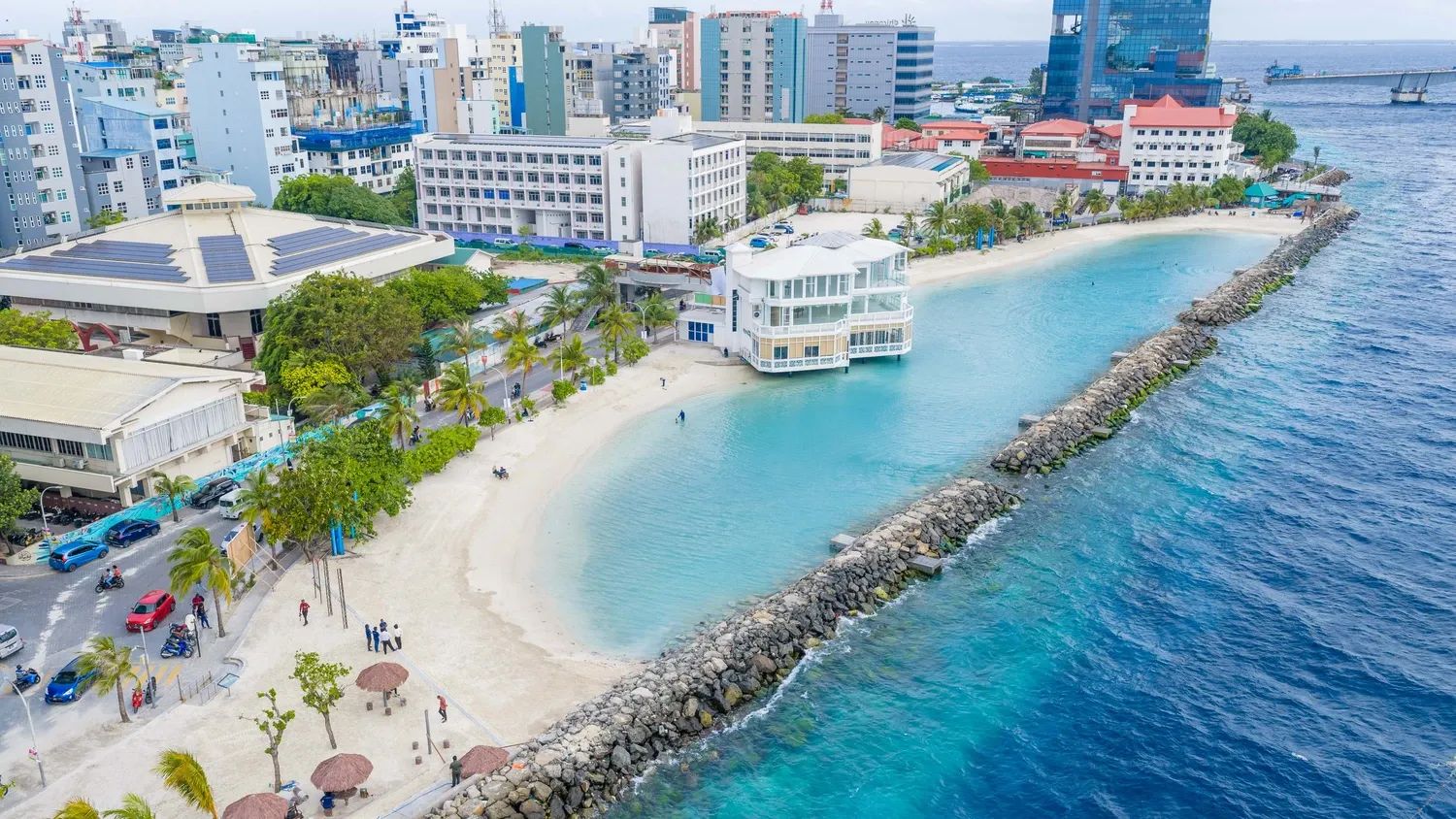 rasfannu-1781289745629.webp