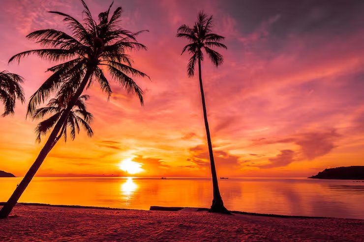 sunset-time-tropical-beach-sea-with-coconut-palm-tree_74190-1075.avif