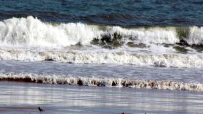 tsunami-rep1-1712108990.jpg